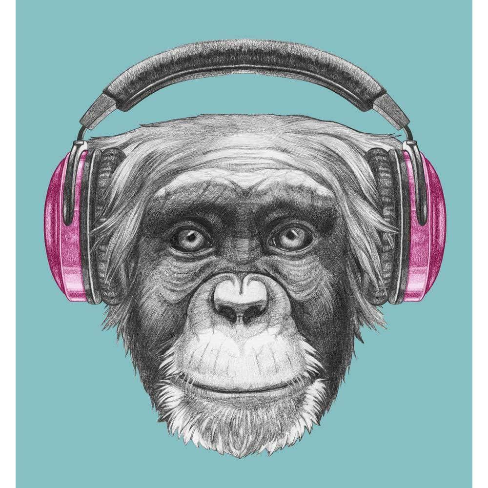 Monkey with Headphones Illustration Printed Glass Splashback - DIY - CreoGlass®