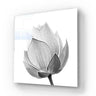 Lotus Black & White 2 Glass Wall Art - DIY - CreoGlass®