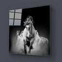 Running Horses Glass Wall Art - Square Sizes - DIY - CreoGlass®