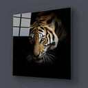Side-Facing Tiger Glass Wall Art - DIY - CreoGlass®