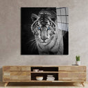 Tiger with Blue Eyes Glass Wall Art - DIY - CreoGlass®