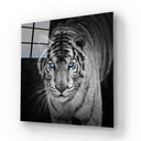 Tiger with Blue Eyes Glass Wall Art - DIY - CreoGlass®