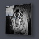 Tiger with Blue Eyes Glass Wall Art - DIY - CreoGlass®