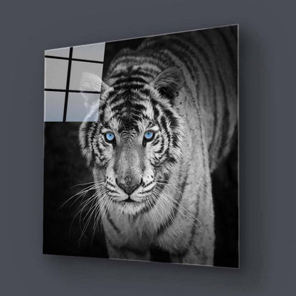 Tiger with Blue Eyes Glass Wall Art - DIY - CreoGlass®