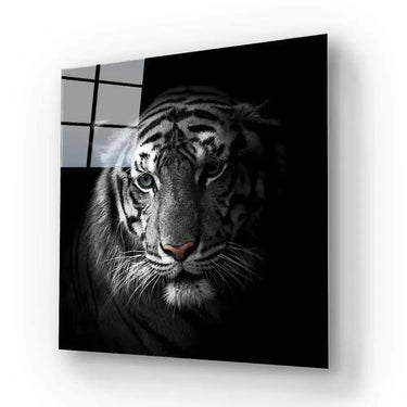 White Tiger in Spotlight Glass Wall Art - DIY - CreoGlass®