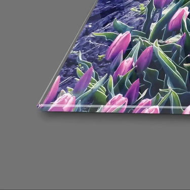 Windmill And Tulips Glass Wall Art - Square Sizes - DIY - CreoGlass®