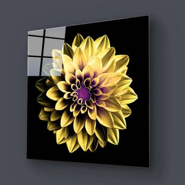 Yellow and Purple Dahlia Glass Wall Art - Square Sizes- DIY - CreoGlass®