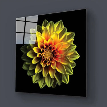 Yellow Dahlia Glass Wall Art - Square Sizes - DIY - CreoGlass®
