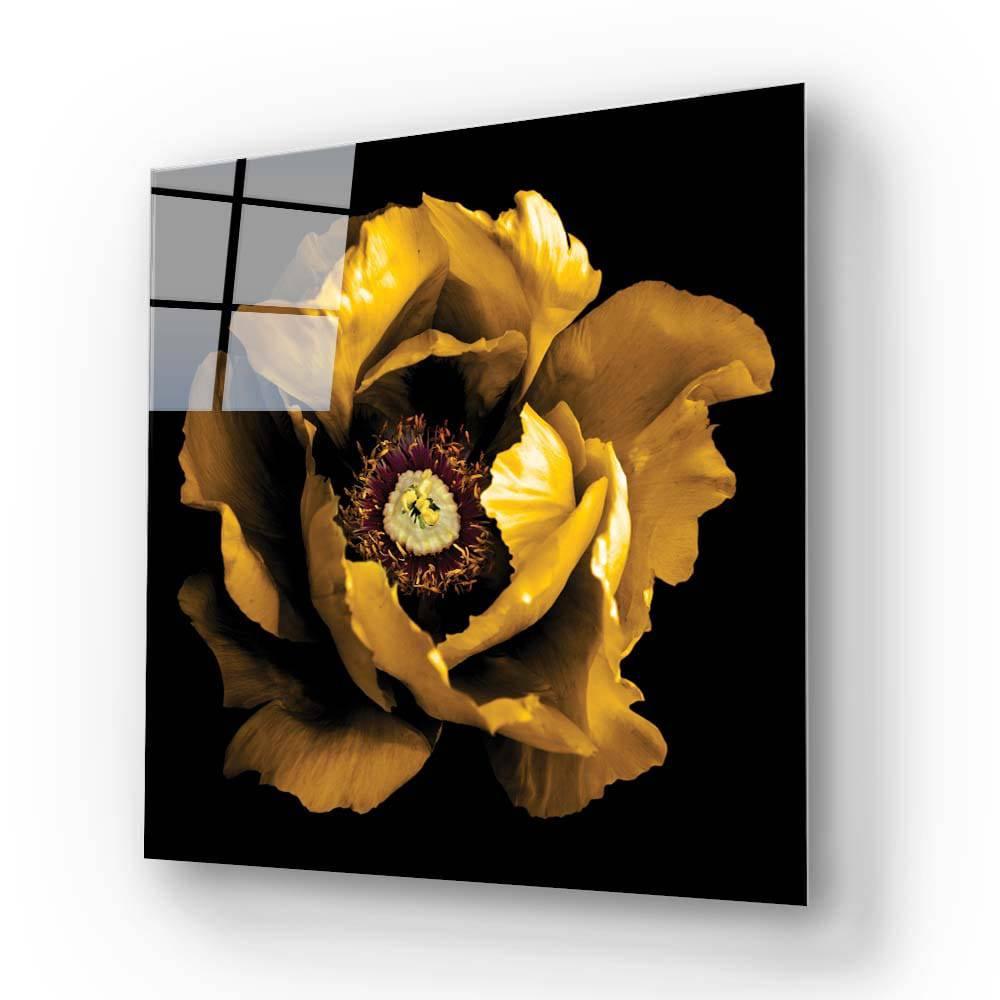 Yellow Peony Glass Wall Art - DIY - CreoGlass®