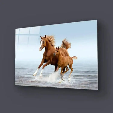 Arab Mare Foal Running Through Splashes Glass Wall Art - DIY - CreoGlass®