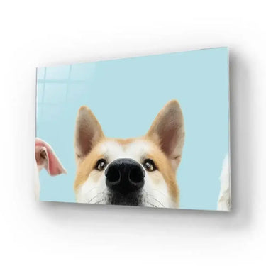 Banner Closeup Three Hide Dogs Head Glass Wall Art - DIY - CreoGlass®