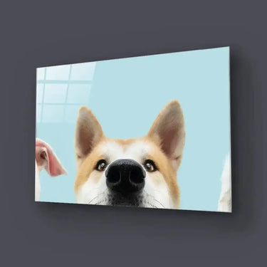 Banner Closeup Three Hide Dogs Head Glass Wall Art - DIY - CreoGlass®