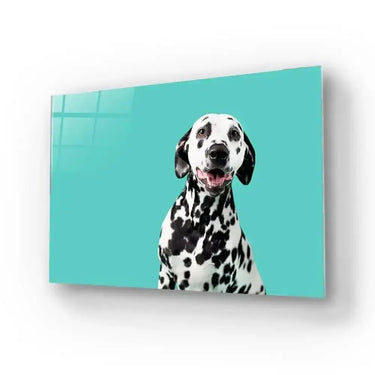 Beautiful Dalmatian Dog On Coloured Background Glass Wall Art - DIY - CreoGlass®