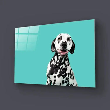 Beautiful Dalmatian Dog On Coloured Background Glass Wall Art - DIY - CreoGlass®