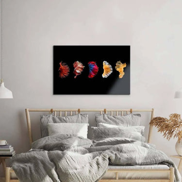 Betta Fish Tail Glass Wall Art - DIY - CreoGlass®
