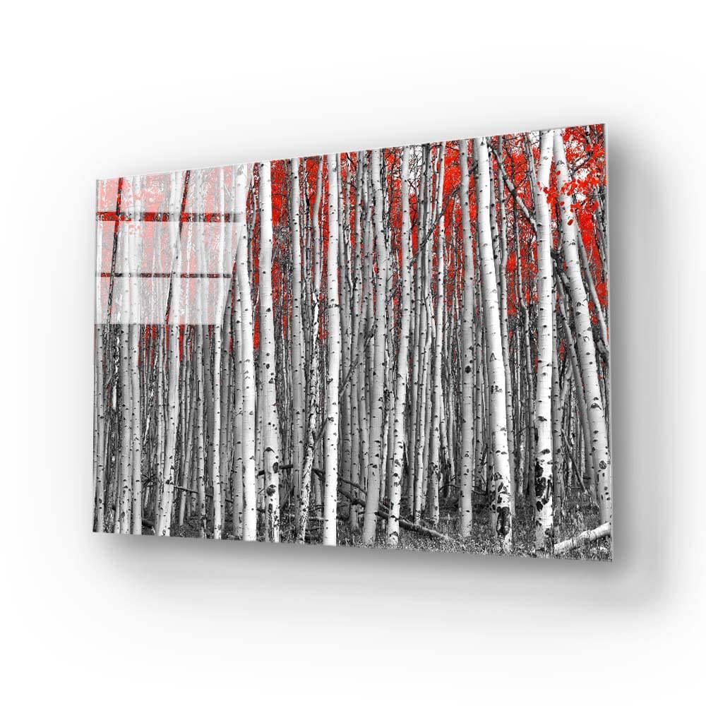 Birch Trees with Red Flowers Glass Wall Art - DIY - CreoGlass®