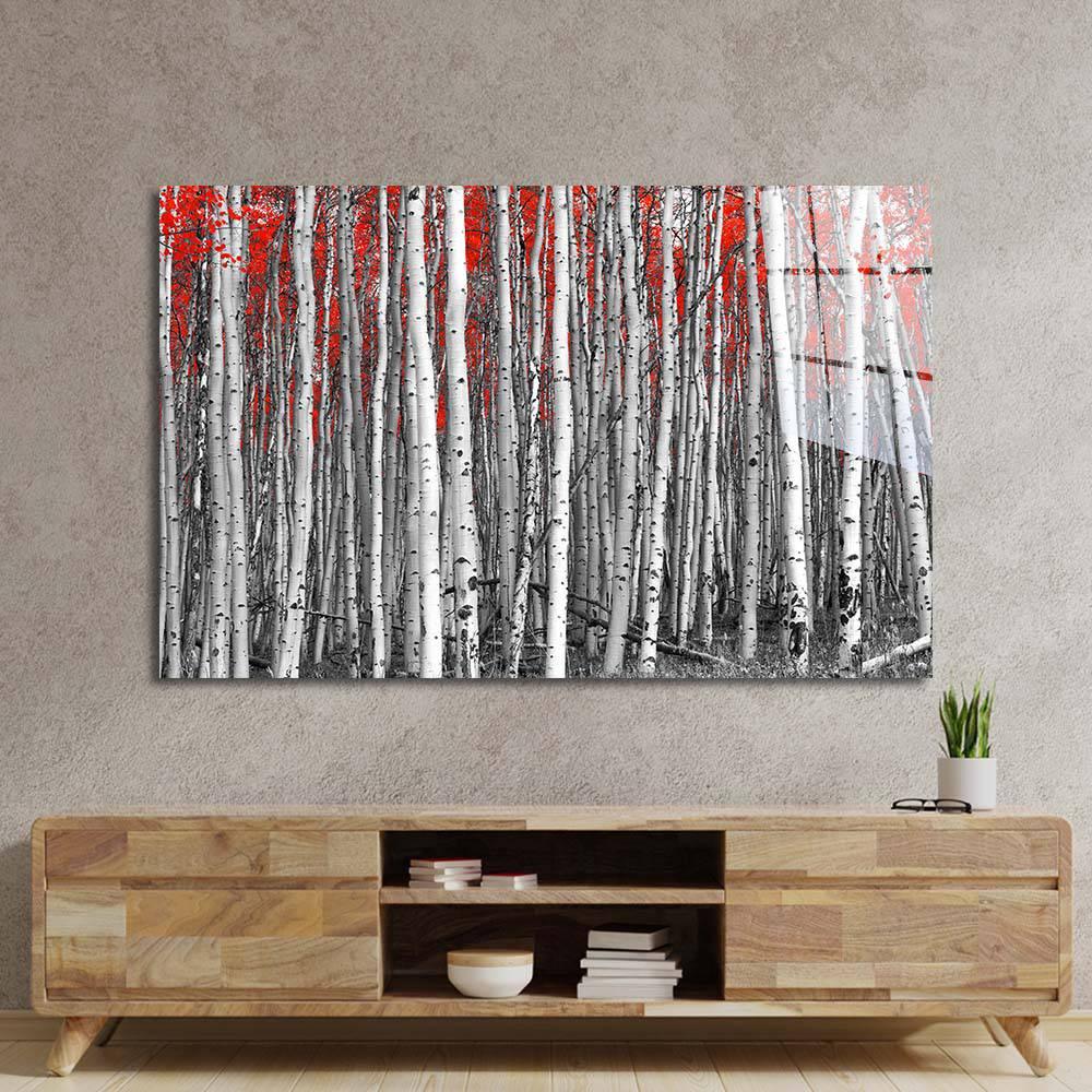 Birch Trees with Red Flowers Glass Wall Art - DIY - CreoGlass®