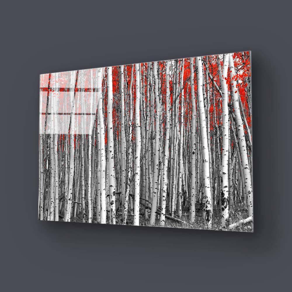 Birch Trees with Red Flowers Glass Wall Art - DIY - CreoGlass®