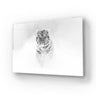 Black and White Tiger Wild Winter Glass Wall Art - DIY - CreoGlass®