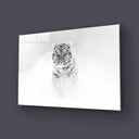 Black and White Tiger Wild Winter Glass Wall Art - DIY - CreoGlass®