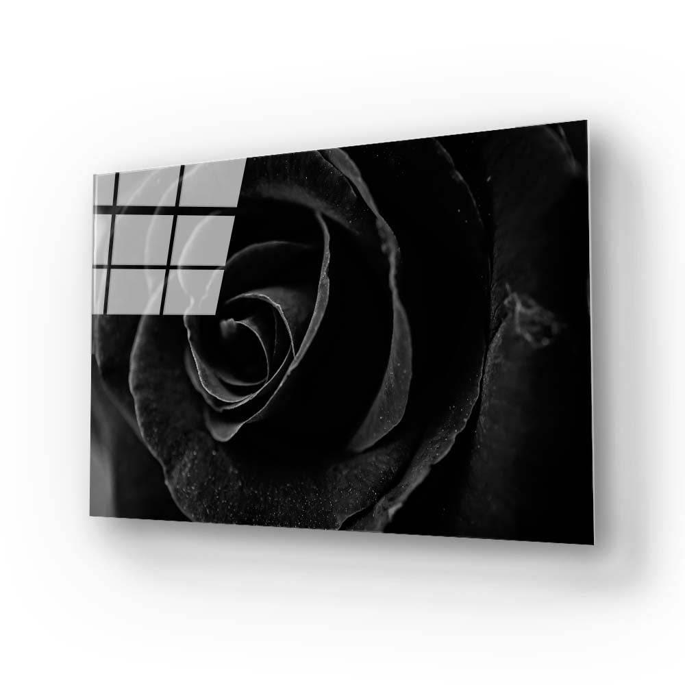 Black Rose Close Up Glass Wall Art - DIY - CreoGlass®