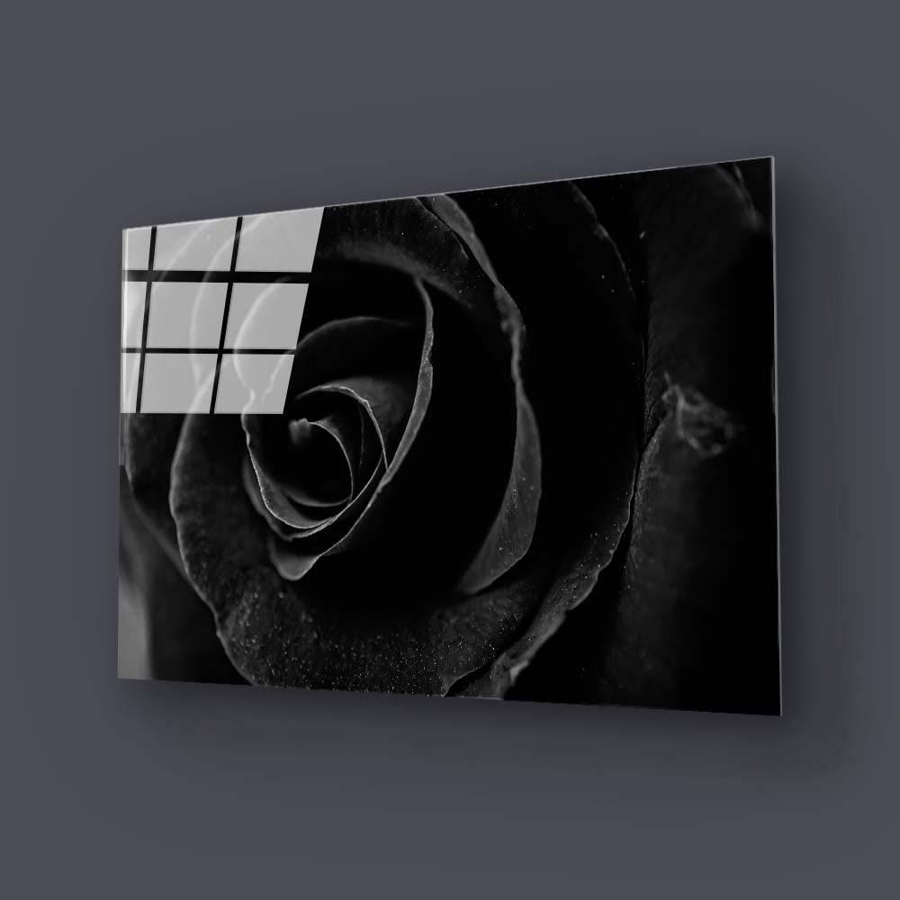 Black Rose Close Up Glass Wall Art - DIY - CreoGlass®