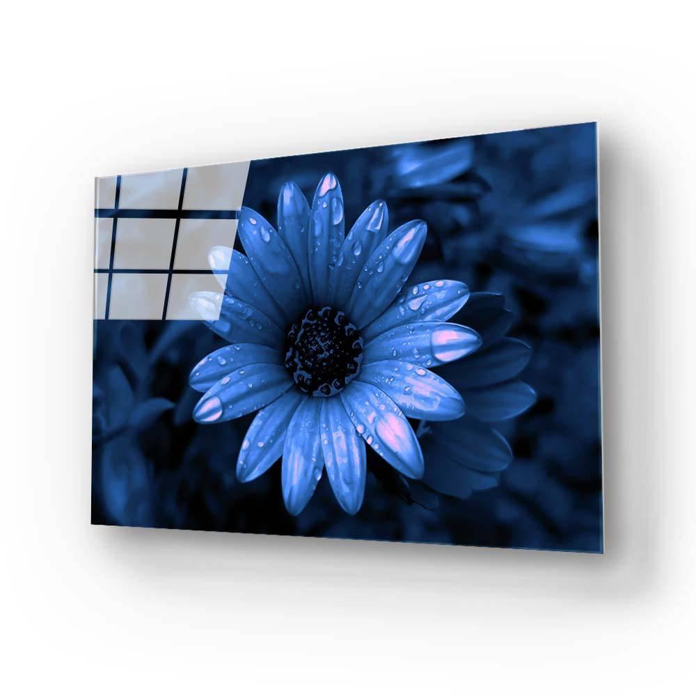 Blue Cape Daisy with Pink Droplets Glass Wall Art - DIY - CreoGlass®