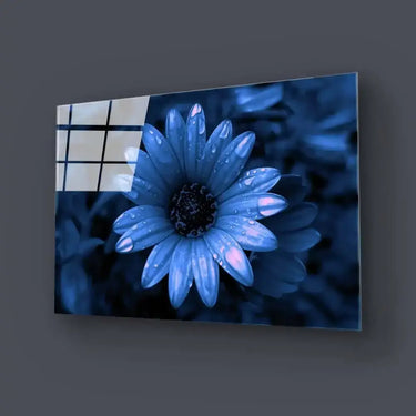 Blue Cape Daisy with Pink Droplets Glass Wall Art - Zoomed Out - DIY - CreoGlass®