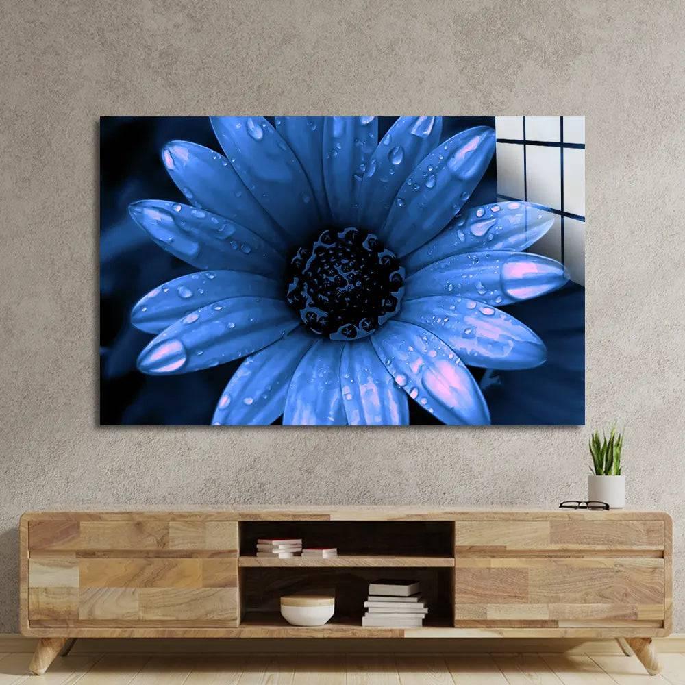 Blue Cape Daisy With Pink Droplets Glass Wall Art - DIY - CreoGlass®