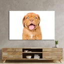 Bordeaux Puppy Dog Isolated Glass Wall Art - DIY - CreoGlass®