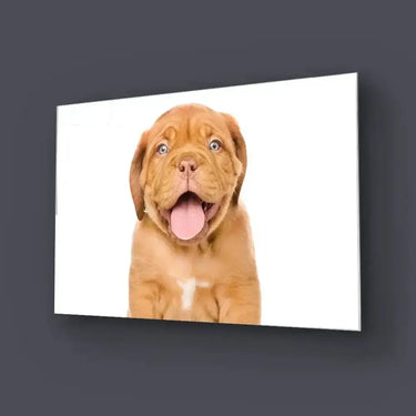 Bordeaux Puppy Dog Isolated Glass Wall Art - DIY - CreoGlass®