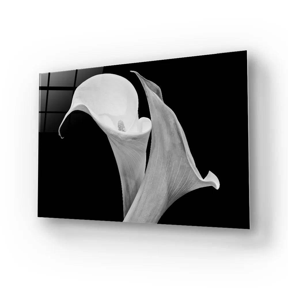 Calla Lily Black and White Glass Wall Art - DIY - CreoGlass®