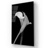 Calla Lily Black & White Photo Glass Wall Art - DIY - CreoGlass®