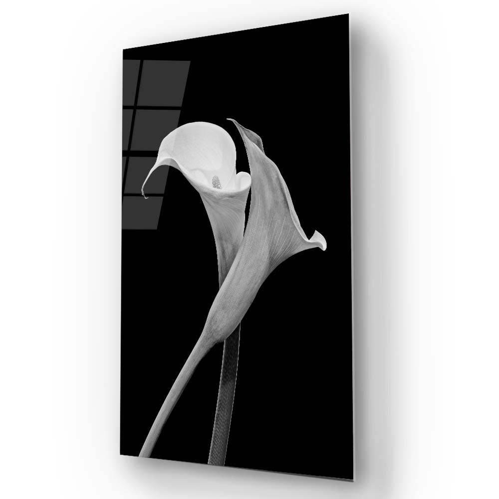 Calla Lily Black & White Photo Glass Wall Art - DIY - CreoGlass®