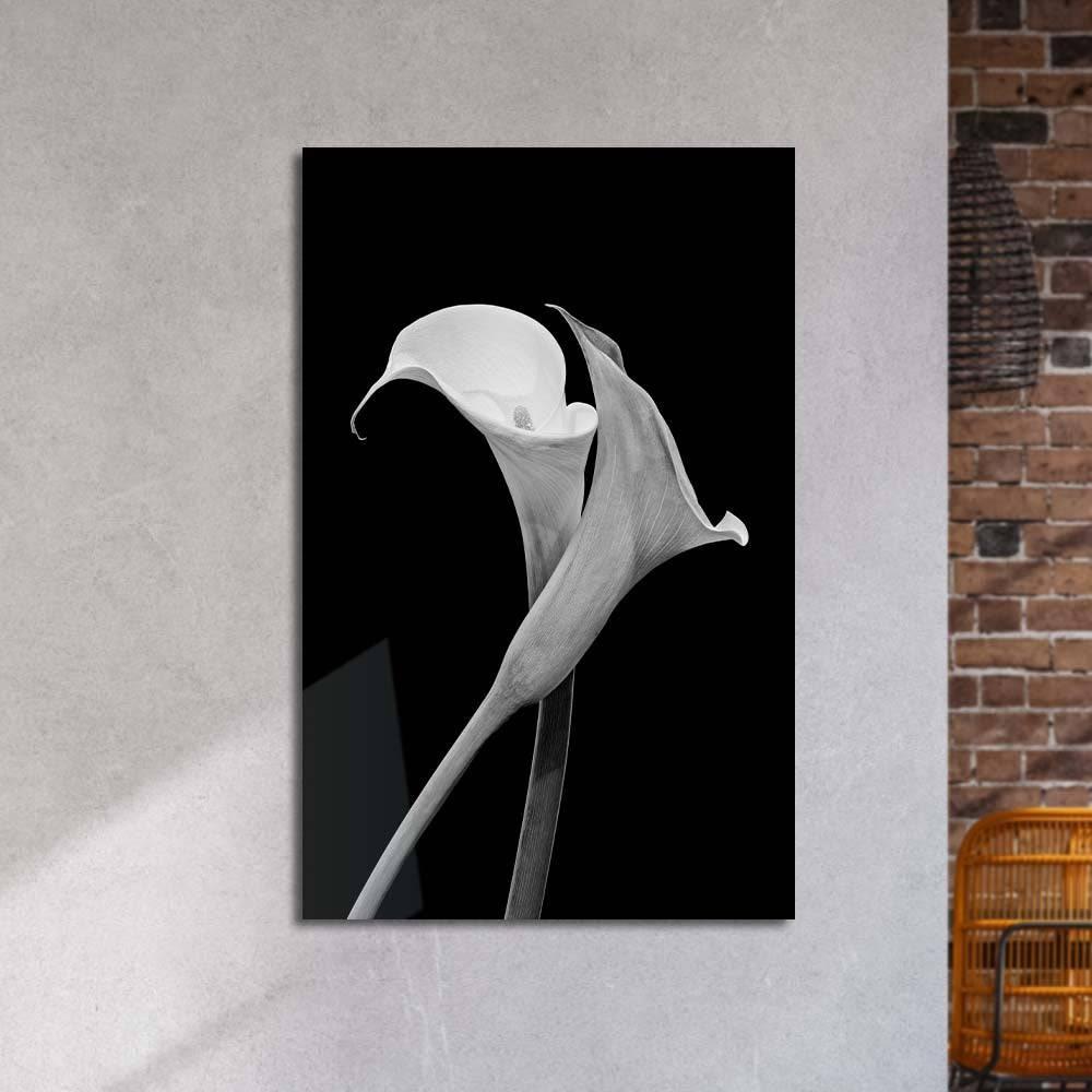 Calla Lily Black & White Photo Glass Wall Art - DIY - CreoGlass®