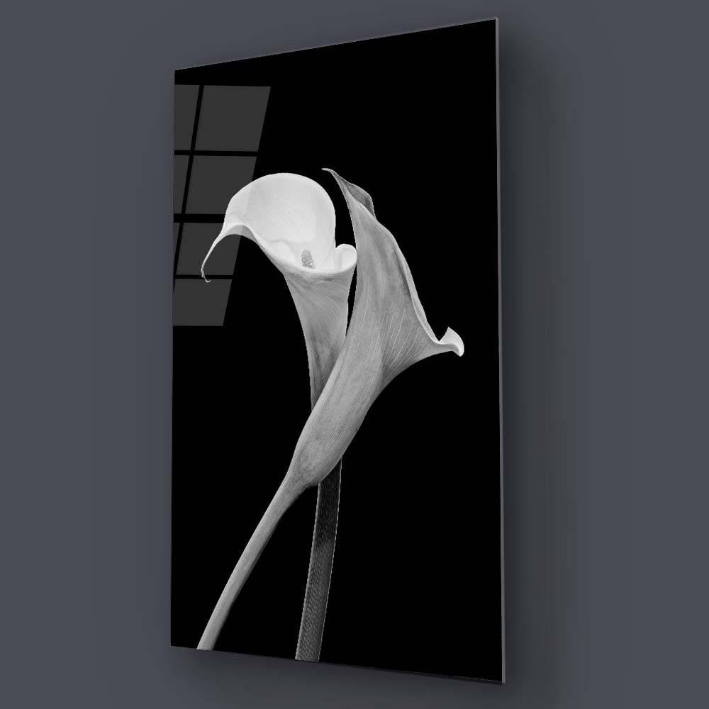 Calla Lily Black & White Photo Glass Wall Art - DIY - CreoGlass®