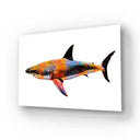 Colourful Abstract Shark Glass Wall Art - DIY - CreoGlass®