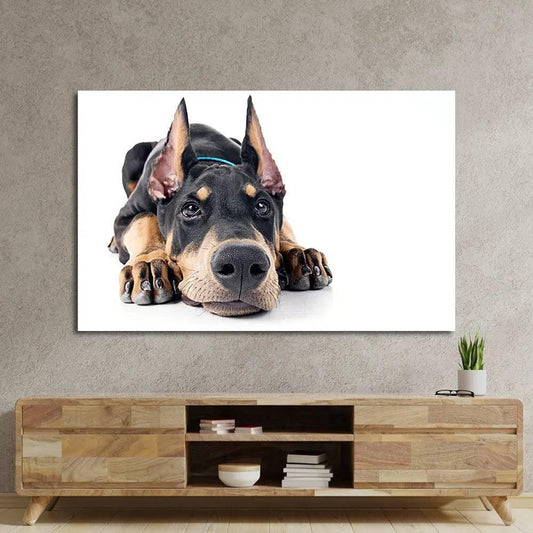 Doberman White Background Glass Wall Art - DIY - CreoGlass®
