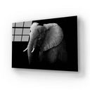 Elephant Black and White Glass Wall Art - DIY - CreoGlass®