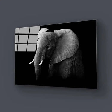 Elephant Black and White Glass Wall Art - DIY - CreoGlass®