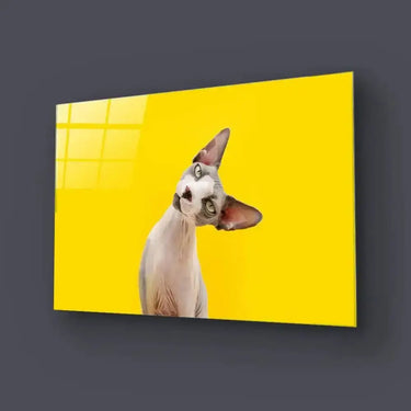 Funny Sphynx Cat Tilting Head Glass Wall Art - DIY - CreoGlass®