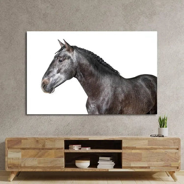 Grey Horse Glass Wall Art - DIY - CreoGlass®