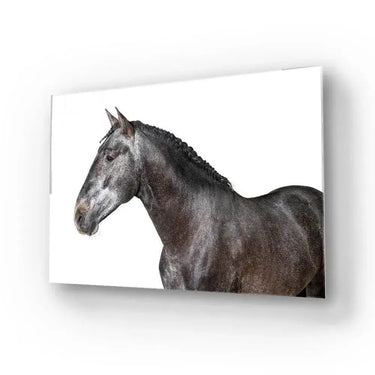 Grey Horse Glass Wall Art - DIY - CreoGlass®