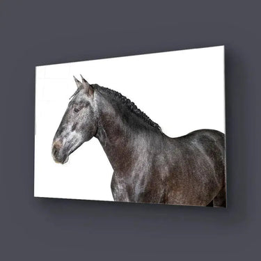 Grey Horse Glass Wall Art - DIY - CreoGlass®