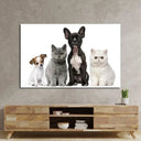 Group Of Dogs And Cats White Background Glass Wall Art - DIY - CreoGlass®