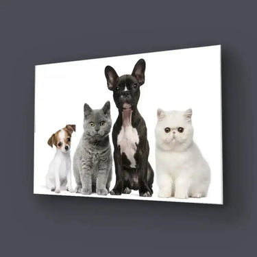 Group Of Dogs And Cats White Background Glass Wall Art - DIY - CreoGlass®
