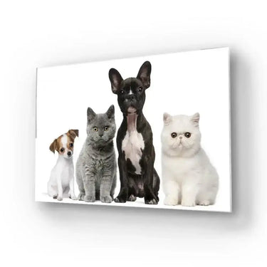Group Of Dogs And Cats White Background Glass Wall Art - DIY - CreoGlass®