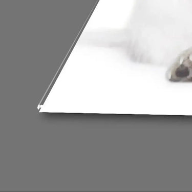 Group Of Dogs And Cats White Background Glass Wall Art - DIY - CreoGlass®