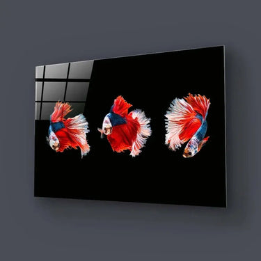 Halfmoon Beta Fish Glass Wall Art - DIY - CreoGlass®