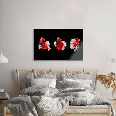 Halfmoon Beta Fish Glass Wall Art - DIY - CreoGlass®